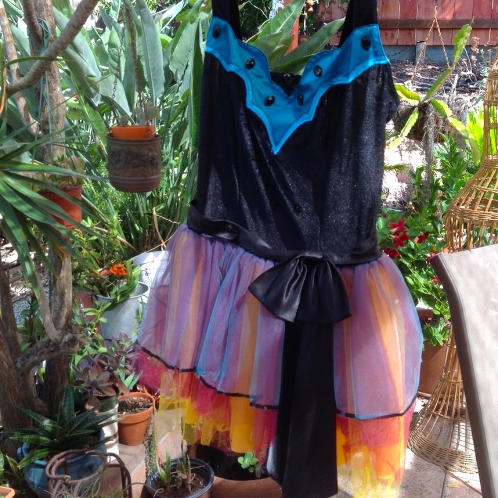 Women's Tulle Skirt and Velvet Top Tutu Costume